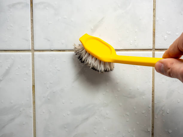 Mold Testing and Removal in Bent Creek, NC