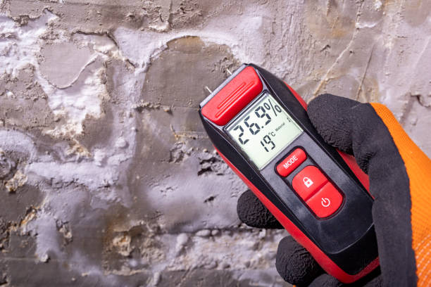 Best Fast Mold Removal  in Bent Creek, NC