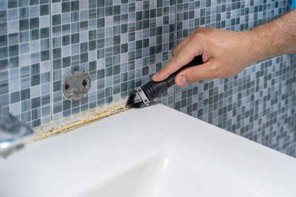Best Attic Mold Removal  in Bent Creek, NC