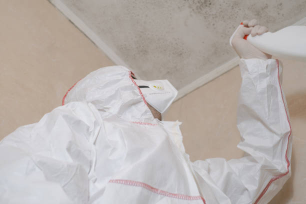 Best Office Mold Removal Services  in Bent Creek, NC