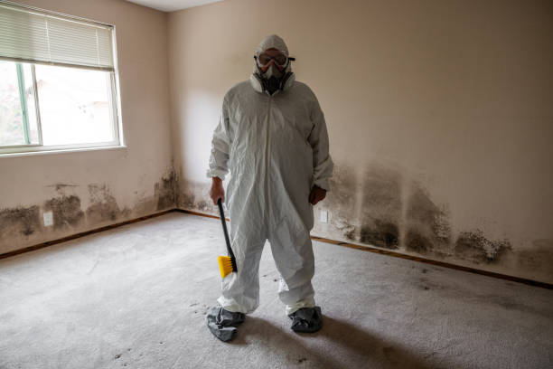 Best Mold Testing and Removal  in Bent Creek, NC